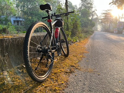 Road Bikes