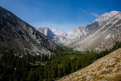 Mountain Bikes