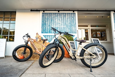 Electric Bikes